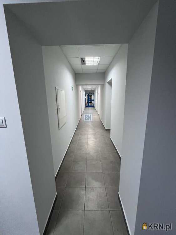 Gliwice, ul. , Lokal użytkowy  do wynajęcia, 