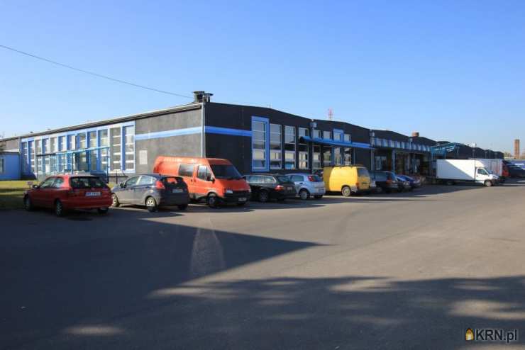 REAL ESTATE DEVELOPMENT COMPANY SPÓŁKA Z O.O. , Lokal użytkowy  do wynajęcia, Radom, ul. Chorzowska