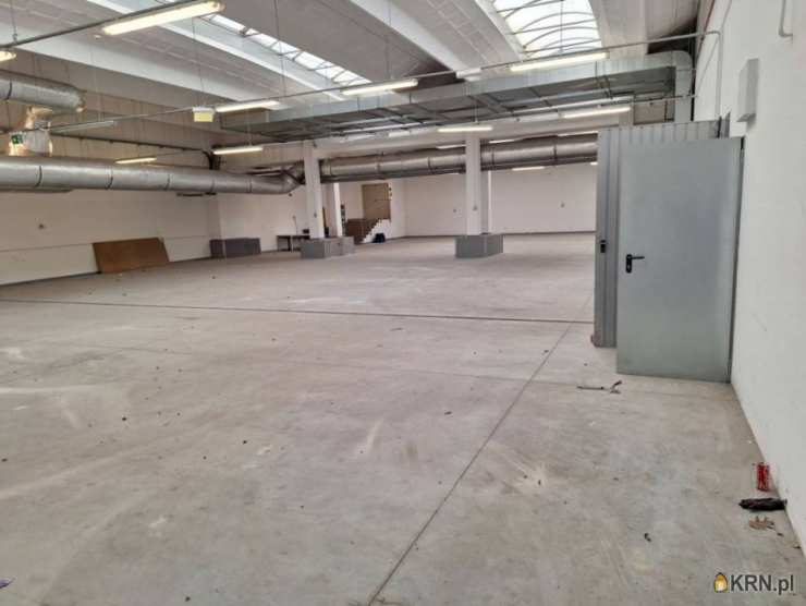 Lokal użytkowy  do wynajęcia, , Katowice, ul. 