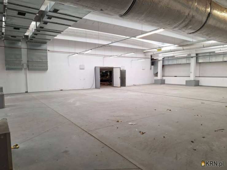 , Katowice, ul. , Lokal użytkowy  do wynajęcia