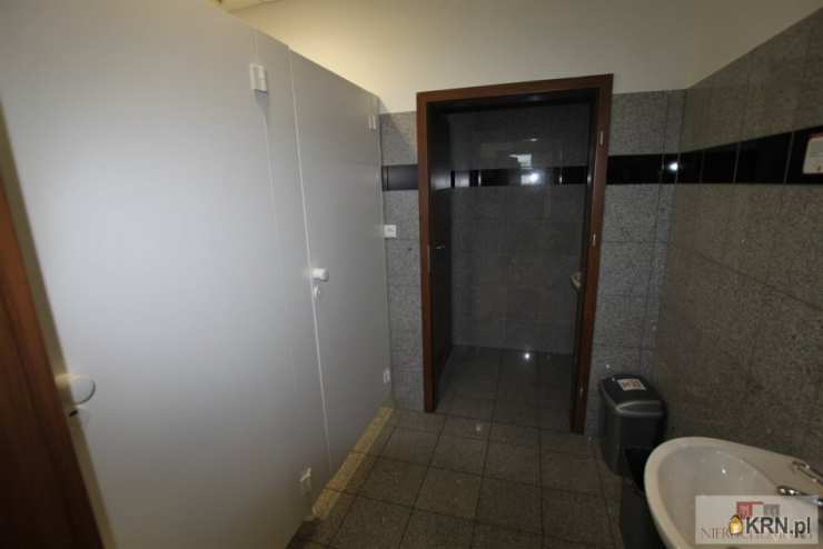 4 pokojowe, Opole, Śródmieście, ul. , Lokal użytkowy  do wynajęcia