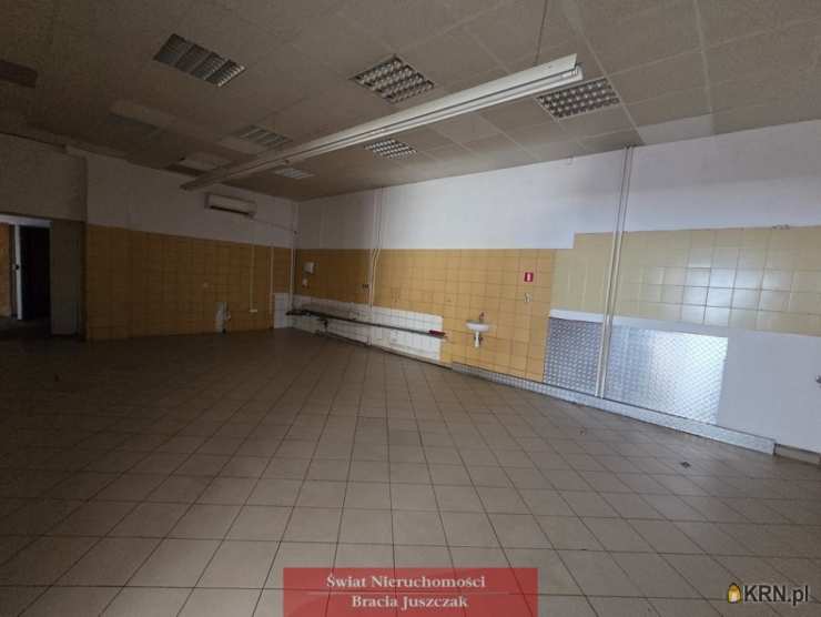 7 pokojowe, Wrocław, ul. , Lokal użytkowy  do wynajęcia