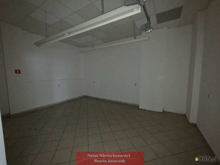 7 pokojowe, Lokal użytkowy  do wynajęcia, Wrocław, ul. 