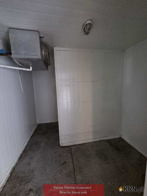 Lokal użytkowy  do wynajęcia, Wrocław, ul. , 7 pokojowe