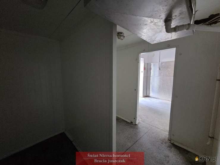 Lokal użytkowy  do wynajęcia, 7 pokojowe, Wrocław, ul. 