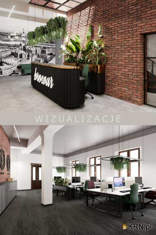 Wrocław, Śródmieście, ul. , Lokal użytkowy  na sprzedaż, 12 pokojowe