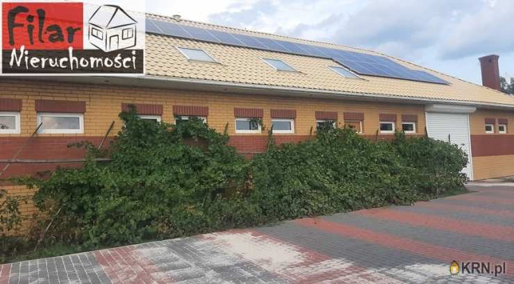 Lokal użytkowy  do wynajęcia, Dąbrowa Biskupia, ul. , 