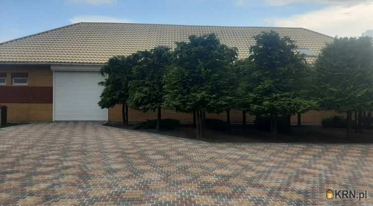 Dąbrowa Biskupia, ul. , Lokal użytkowy  do wynajęcia, 