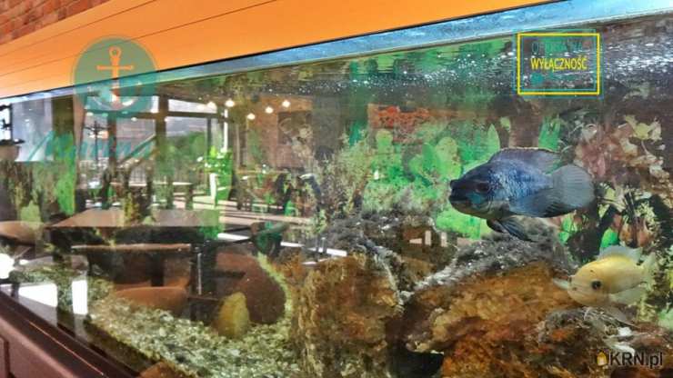 Puck, ul. Wałowa, Lokal użytkowy  na sprzedaż, 