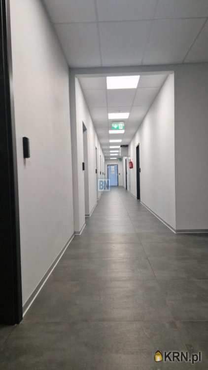 , Katowice, ul. , Lokal użytkowy  do wynajęcia