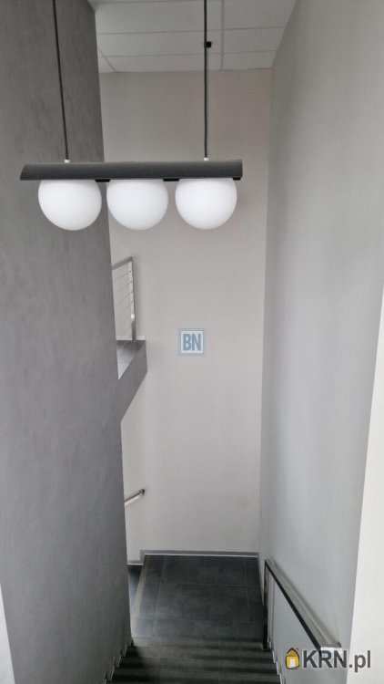 Katowice, ul. , Lokal użytkowy  do wynajęcia, 