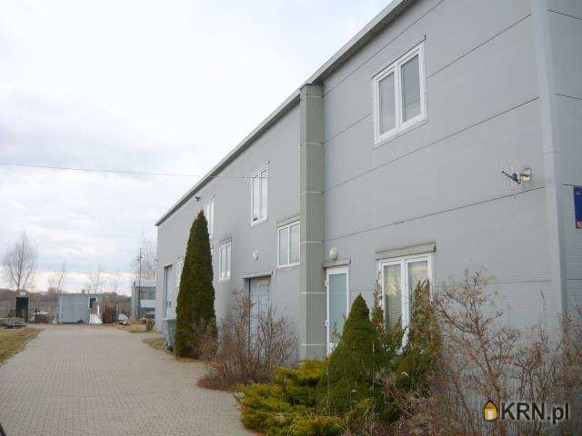 Lokal użytkowy  na sprzedaż, Borzęcin Duży, ul. , 11 pokojowe