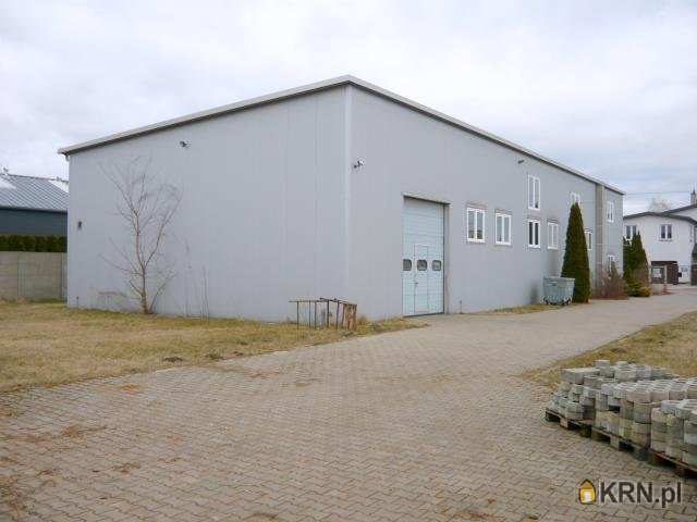 Lokal użytkowy  na sprzedaż, 11 pokojowe, Borzęcin Duży, ul. 