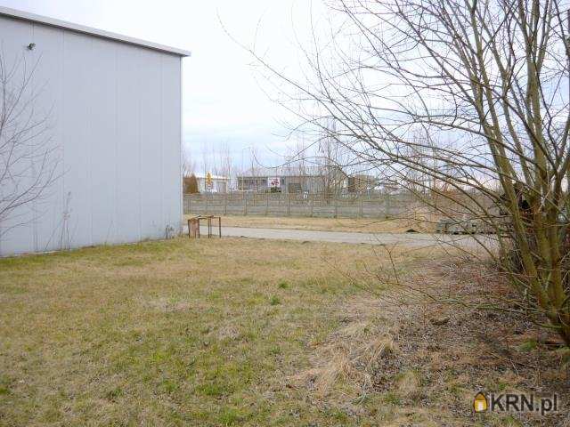 Borzęcin Duży, ul. , 11 pokojowe, Lokal użytkowy  na sprzedaż