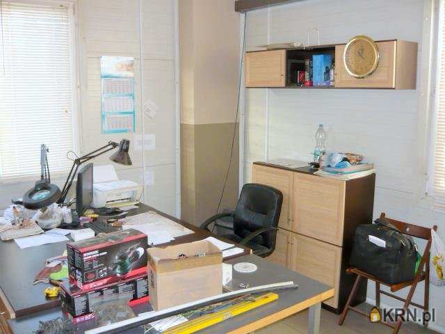 Lokal użytkowy  na sprzedaż, 11 pokojowe, Borzęcin Duży, ul. 