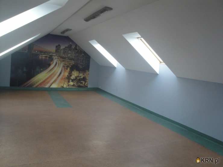 7 pokojowe, Racibórz, Ostróg, ul. Rudzka, Lokal użytkowy  na sprzedaż