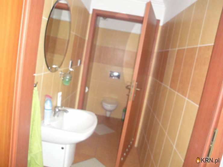 7 pokojowe, Racibórz, Ostróg, ul. Rudzka, Lokal użytkowy  na sprzedaż