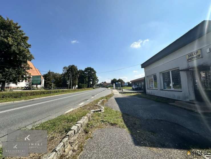 Wilków, ul. , Lokal użytkowy  na sprzedaż, 