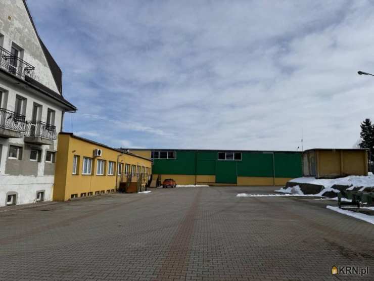 Jordanów, ul. , Lokal użytkowy  do wynajęcia, 