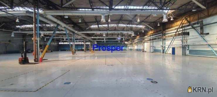 Lokal użytkowy  do wynajęcia, Katowice, ul. , 