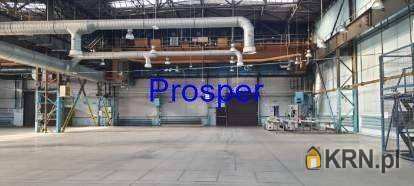 Lokal użytkowy  do wynajęcia, , Katowice, ul. 