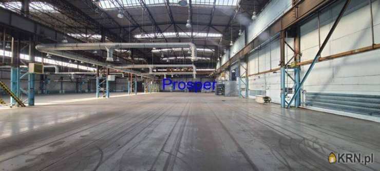 Katowice, ul. , Lokal użytkowy  do wynajęcia, 