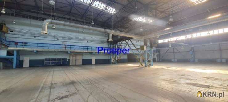 Katowice, ul. , , Lokal użytkowy  do wynajęcia