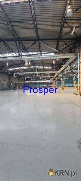 , Katowice, ul. , Lokal użytkowy  do wynajęcia