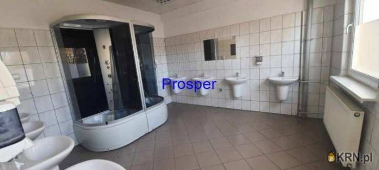 , Lokal użytkowy  do wynajęcia, Katowice, ul. 