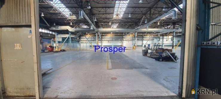 Prosper - Nieruchomości, Lokal użytkowy  do wynajęcia, Katowice, ul. 
