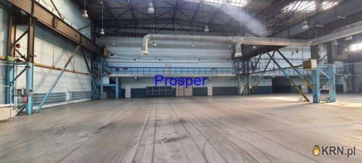 Lokal użytkowy  do wynajęcia, , Katowice, ul. 