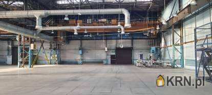 Katowice, ul. , Lokal użytkowy  do wynajęcia, 