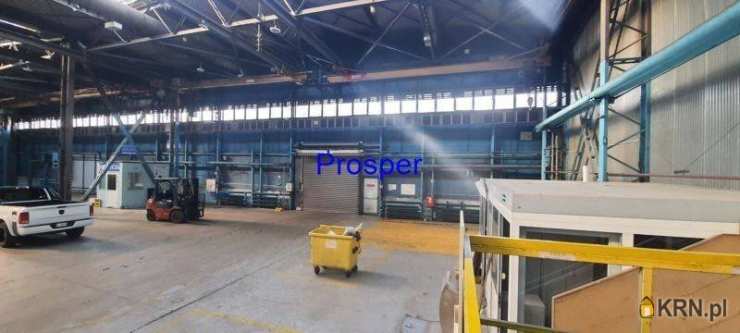 Katowice, ul. , , Lokal użytkowy  do wynajęcia