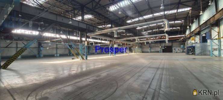 , Lokal użytkowy  do wynajęcia, Katowice, ul. 