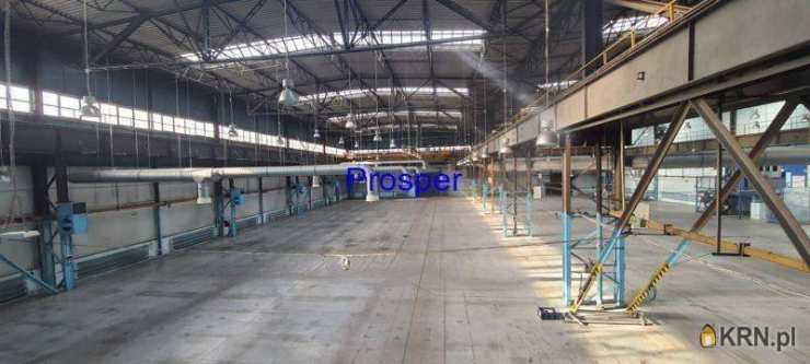Lokal użytkowy  do wynajęcia, Katowice, ul. , 