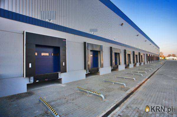 Koszalin, ul. , , Lokal użytkowy  do wynajęcia