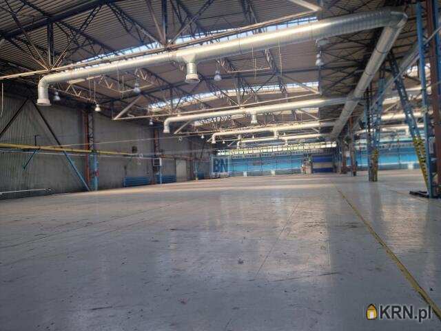 Lokal użytkowy  do wynajęcia, Mikołów, ul. , 