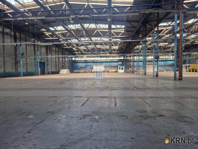 Lokal użytkowy  do wynajęcia, Mikołów, ul. , 