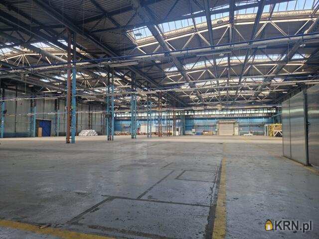 Lokal użytkowy  do wynajęcia, , Mikołów, ul. 