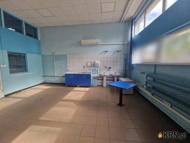, Lokal użytkowy  do wynajęcia, Mikołów, ul. 