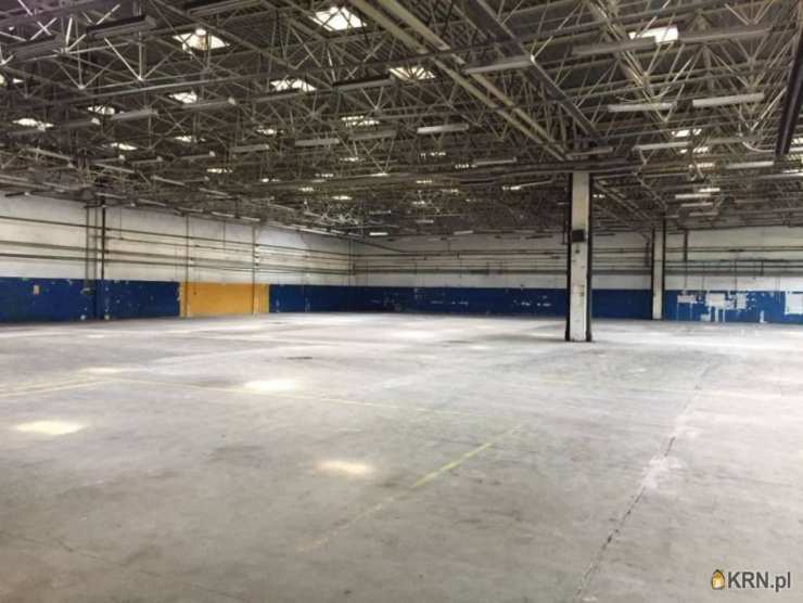 Lokal użytkowy  do wynajęcia, Warszawa, Targówek, ul. , 