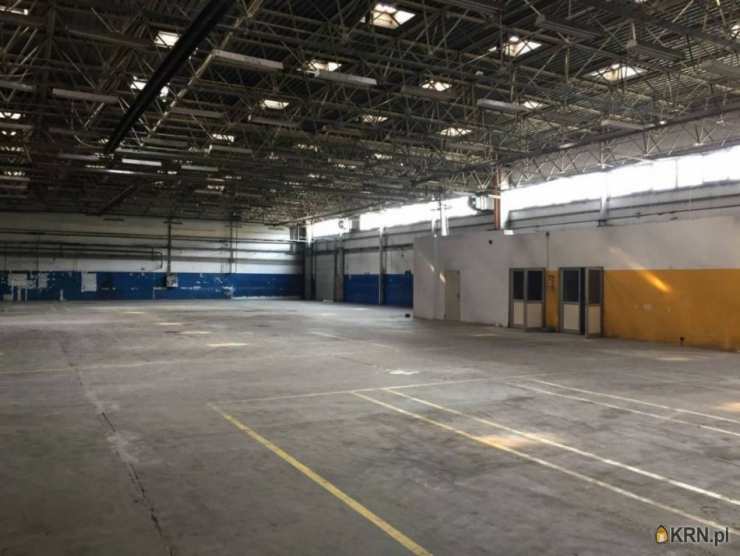 Lokal użytkowy  do wynajęcia, , Warszawa, Targówek, ul. 