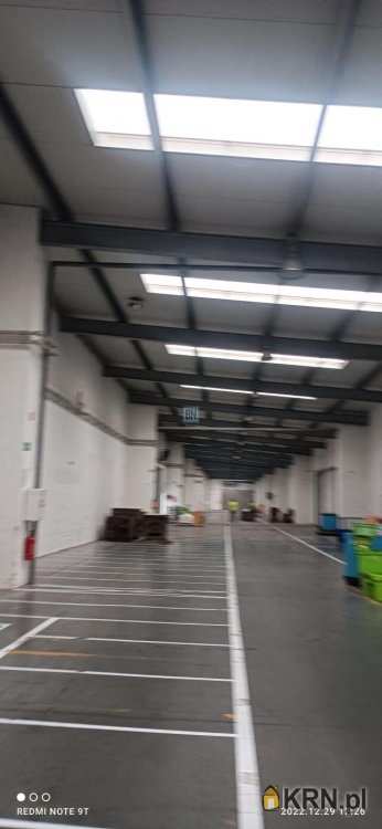 Lokal użytkowy  do wynajęcia, Trzebinia, ul. , 5 pokojowe