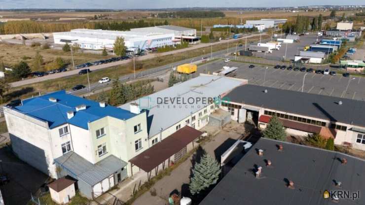 , Suwałki, ul. , Lokal użytkowy  do wynajęcia