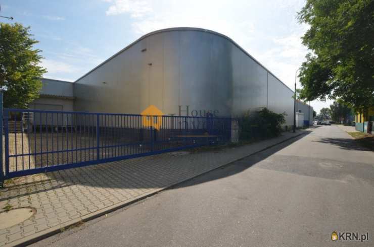 , Głogów, ul. , Lokal użytkowy  do wynajęcia