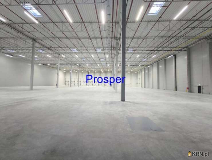 Lokal użytkowy  do wynajęcia, Bieruń, ul. , 