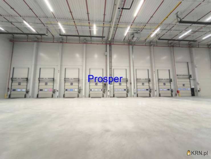 Lokal użytkowy  do wynajęcia, , Bieruń, ul. 