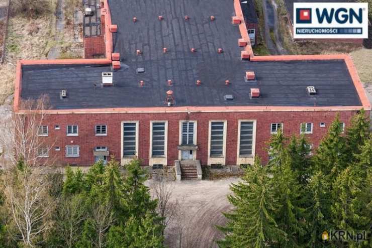 Polkowice Biuro - Agencja Nieruchomości WGN, Lokal użytkowy  na sprzedaż, Lidzbark Warmiński, ul. 