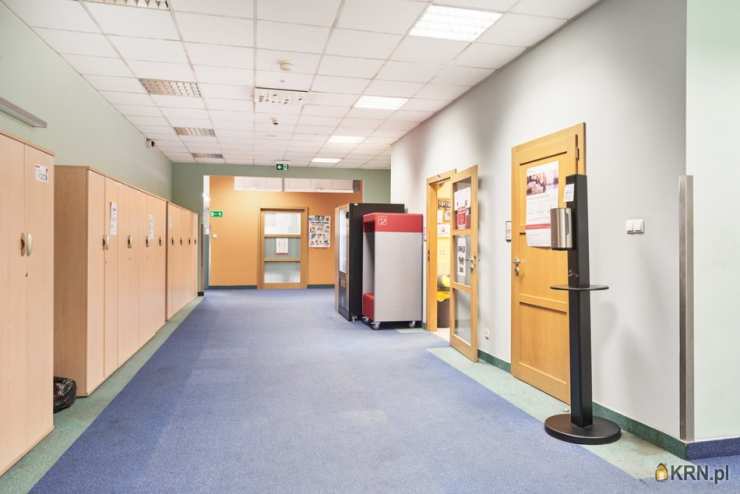 Wrocław, Stare Miasto, ul. , , Lokal użytkowy  do wynajęcia