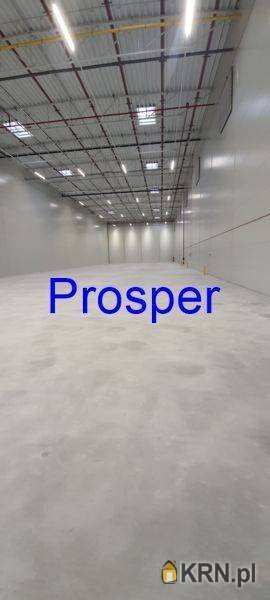 Lokal użytkowy  do wynajęcia, Bieruń, ul. , 